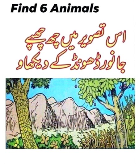 Riddles & Puzzles image