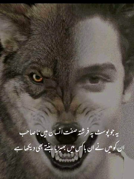 Attitude Quotes image