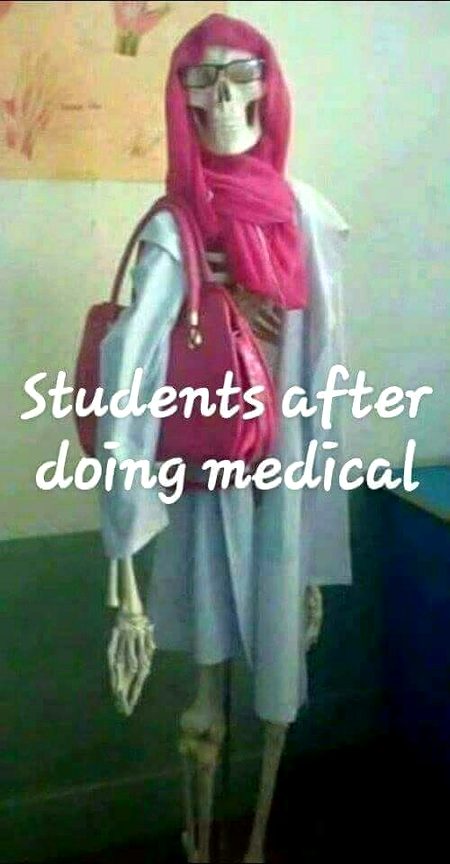 Memes & Satire image