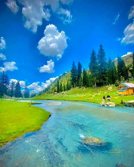 Beautiful Nature image