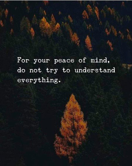 Life Advice image