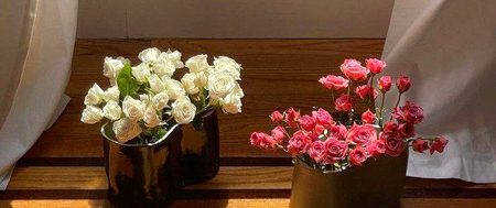 Beautiful Nature image