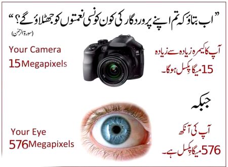 S.Haider