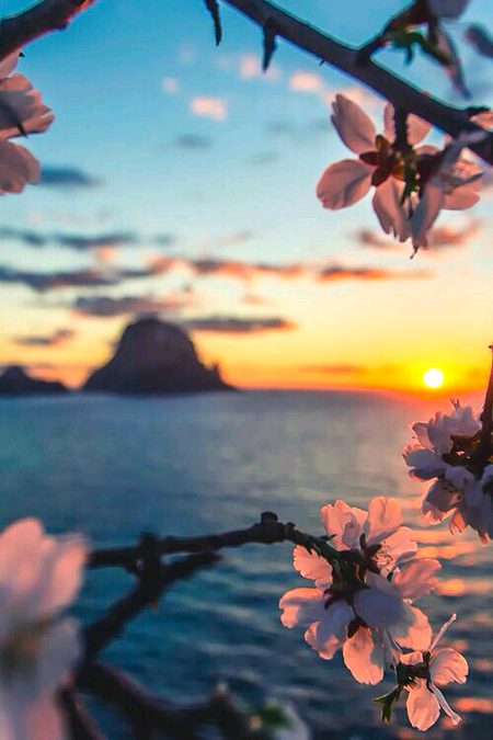 Beautiful Nature image