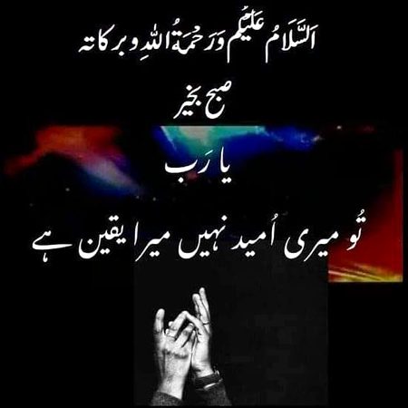 .q2 all