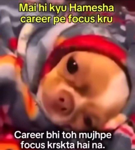 Memes & Satire image