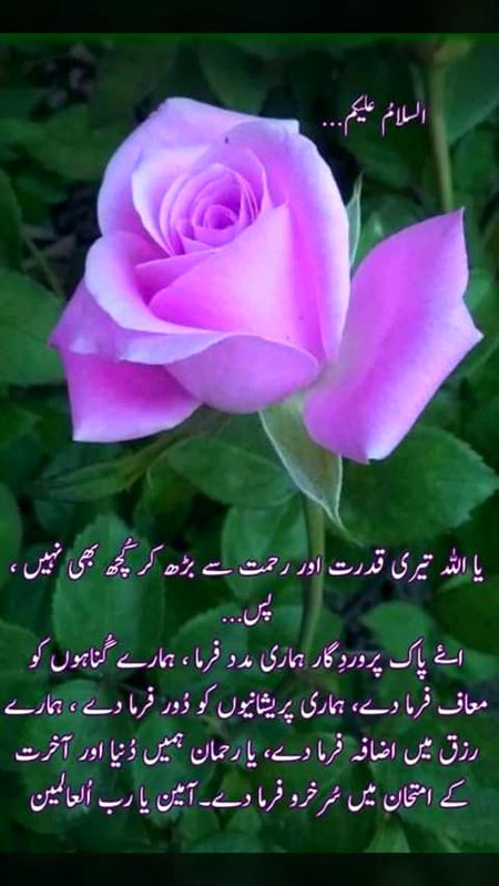 Islamic Quotes image