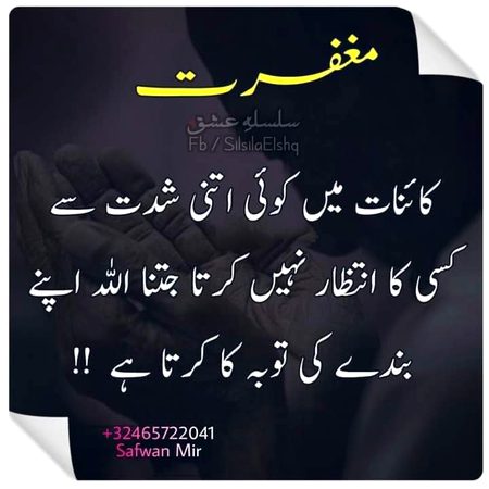 Islamic Quotes image