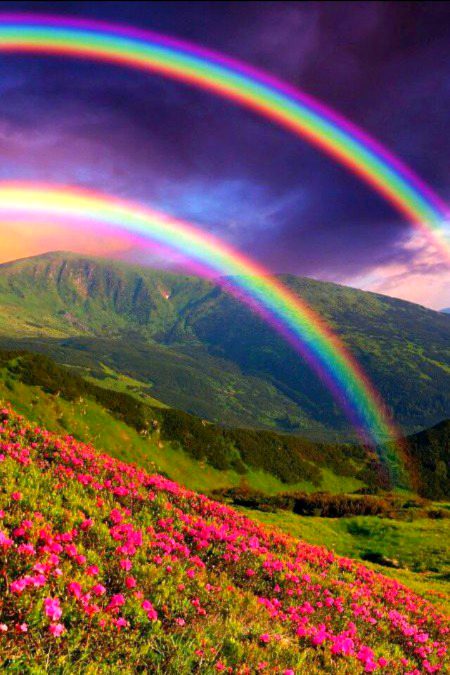 Beautiful Nature image