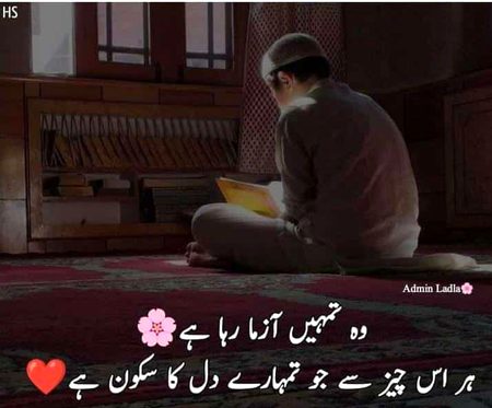 Behshak 😔
