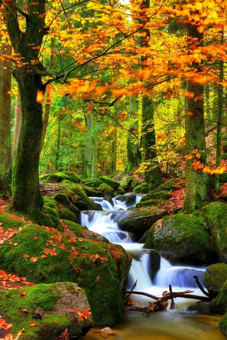 Beautiful Nature image