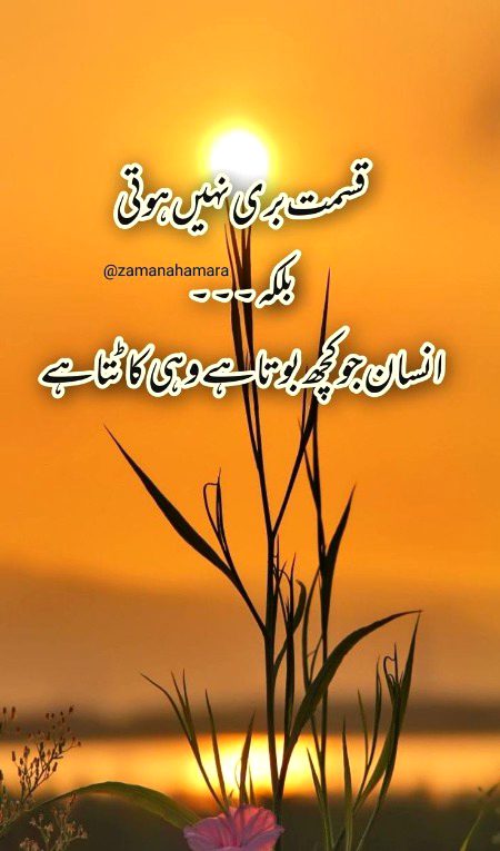 Saanaam ❣️❣️ blkl