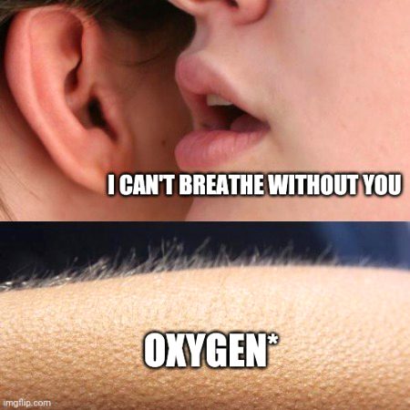 Memes & Satire image