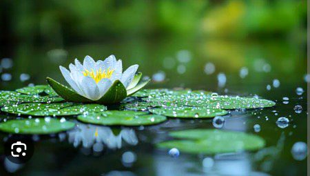 Beautiful Nature image