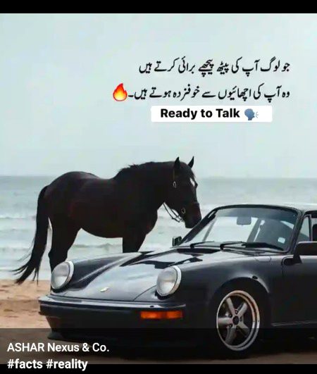 Life Advice image
