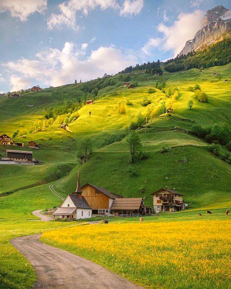 Beautiful Nature image
