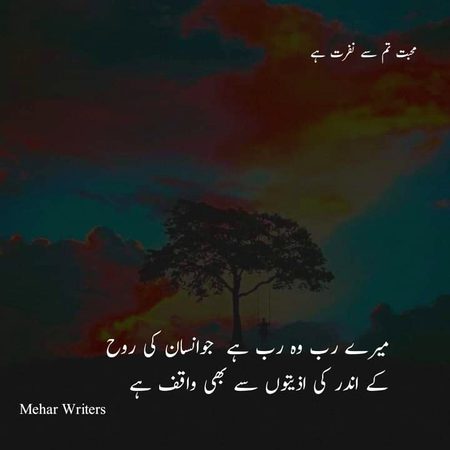 Islamic Quotes image