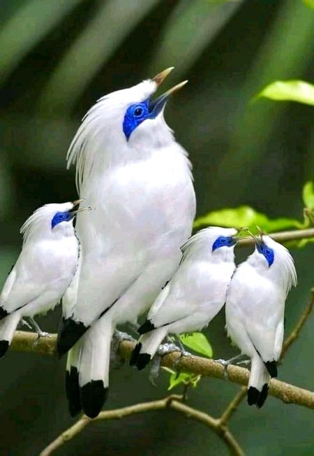 Beautiful Nature image