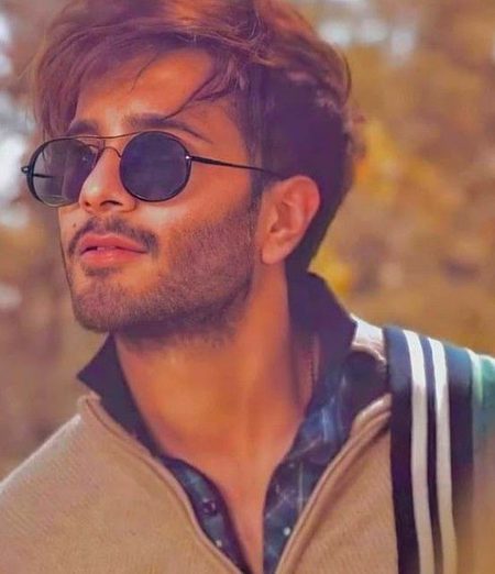 Pakistani Celebs image