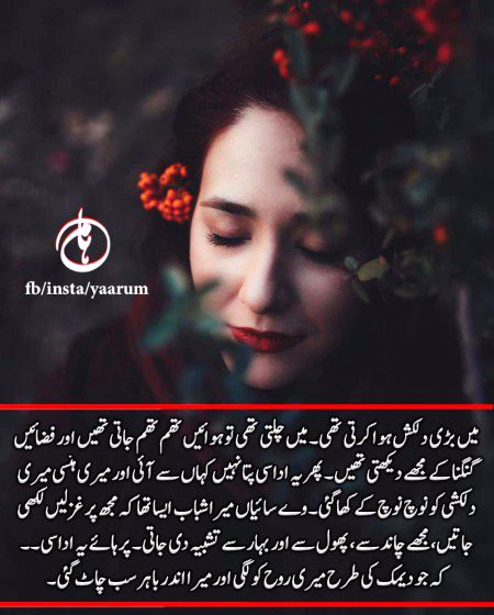 Romantic Novels image