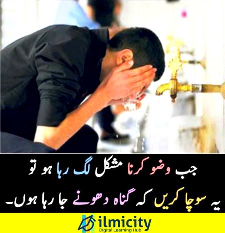 Islamic Quotes image