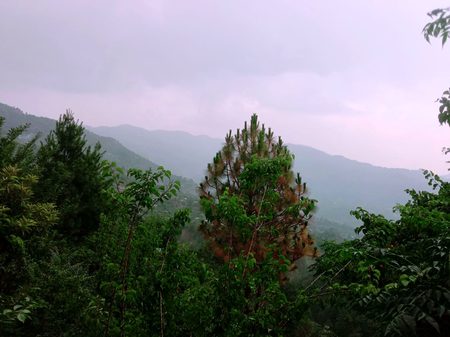 Beautiful Nature image