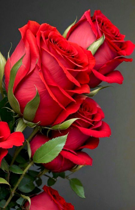 Beautiful Nature image