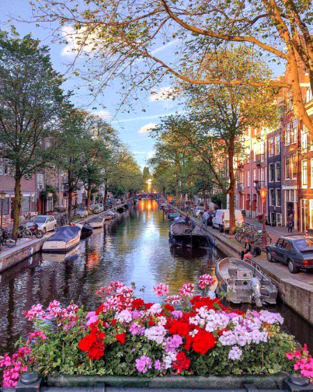 Amsterdam, Netherlands ❤️❤️❤️❤️
