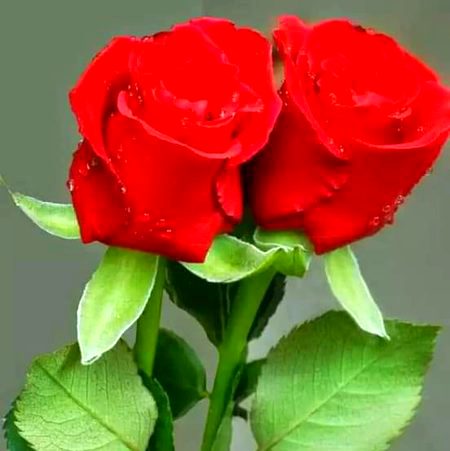FOR YOU YAAR G