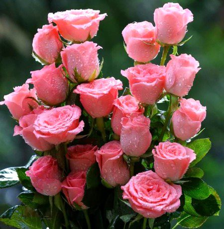 Beautiful Nature image