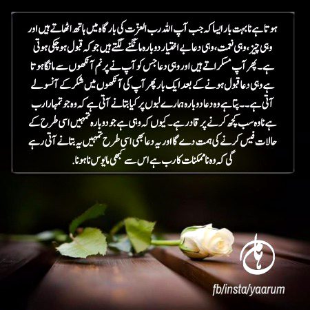 Motivational Quotes image