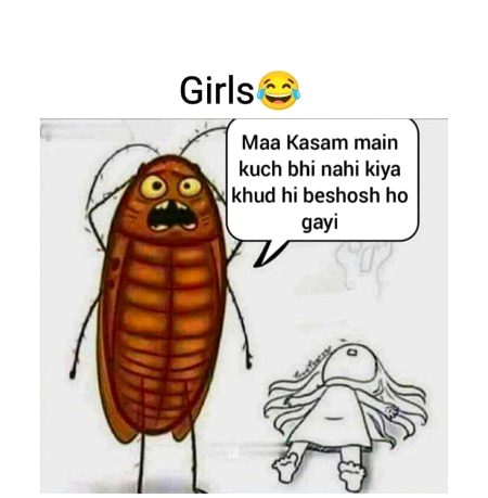 Memes & Satire image