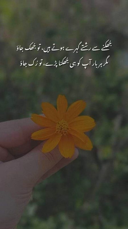 Life Advice image