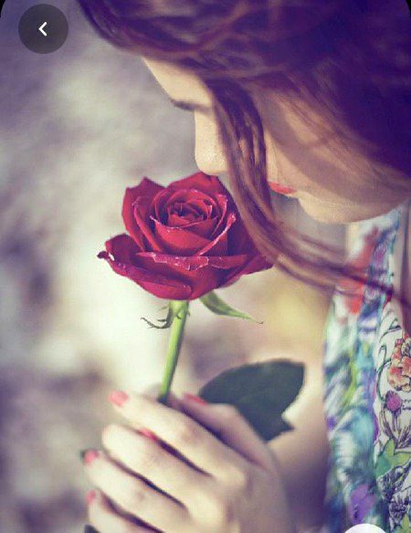Beautiful Nature image