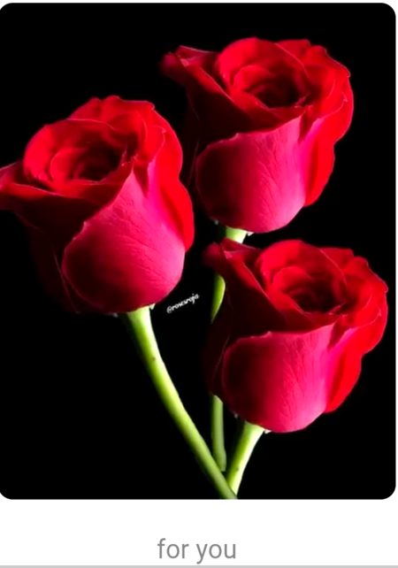 Thnkuu so much 😍😍😍😍😜😜