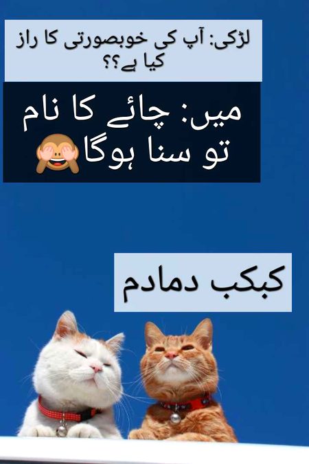 Jokes image