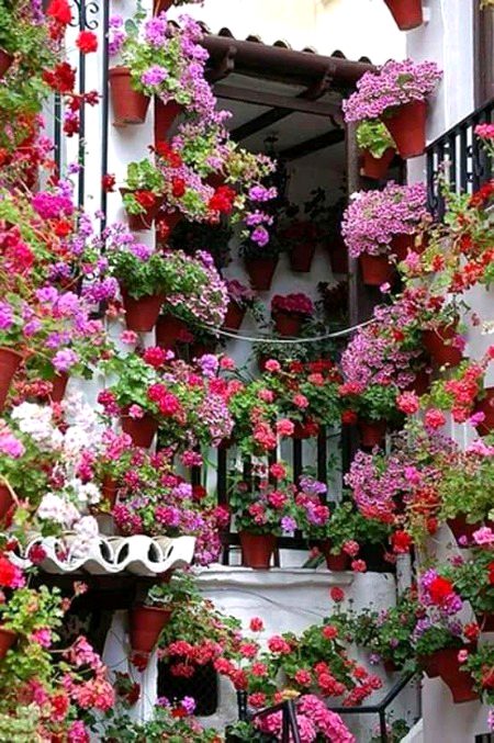 Beautiful nature