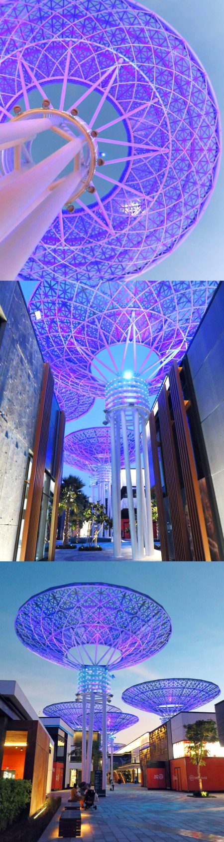 Beautiful Structures image