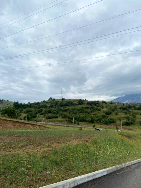 Beautiful Nature image