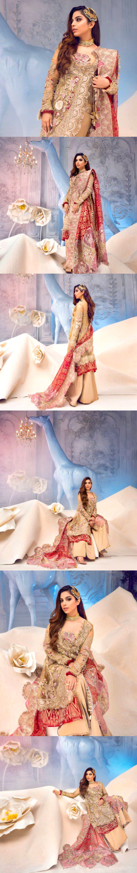 Pakistani Celebs image