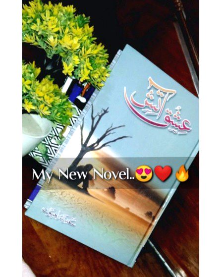Romantic Novels image