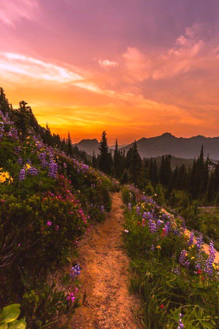 Nature 💫❤️