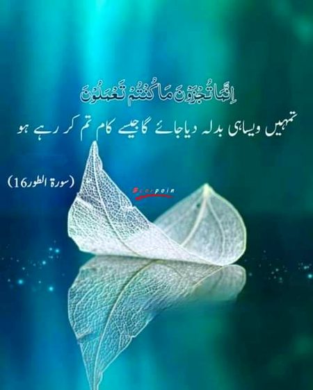 Islamic Quotes image