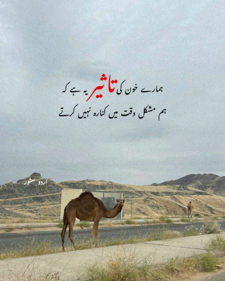 💪😎💕🌟🇵🇰💯beshak