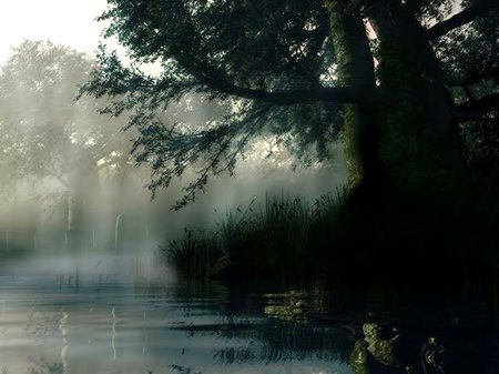 Beautiful Nature image