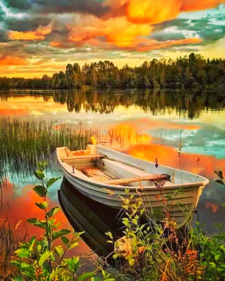 Beautiful Nature image