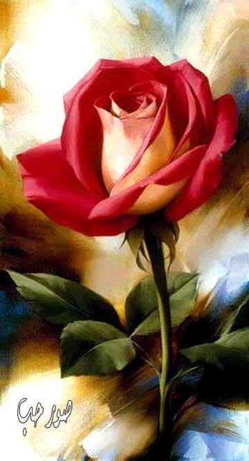 Khoobusoorat 💐💐💐