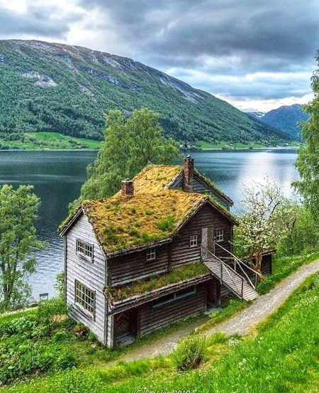 Beautiful Nature image