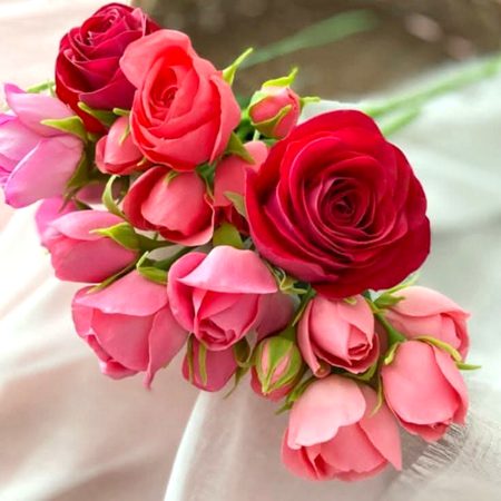 Beautiful Nature image