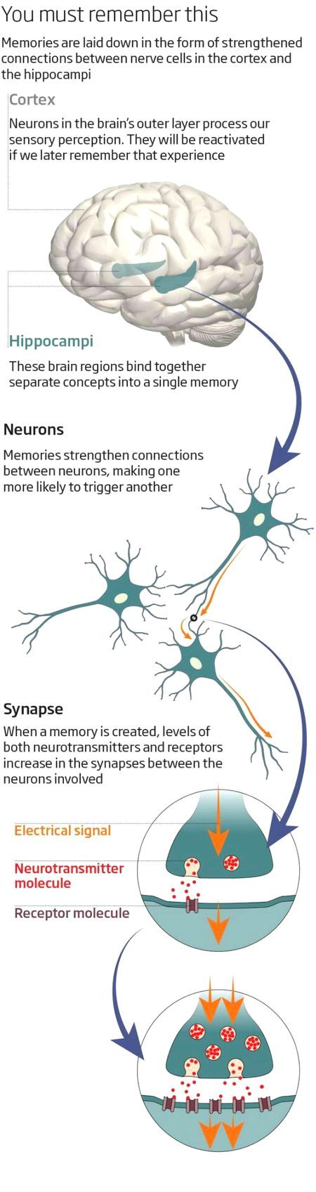 Tips for Students image